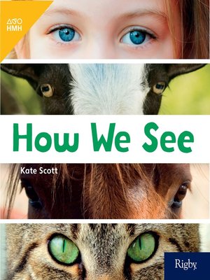 cover image of How We See